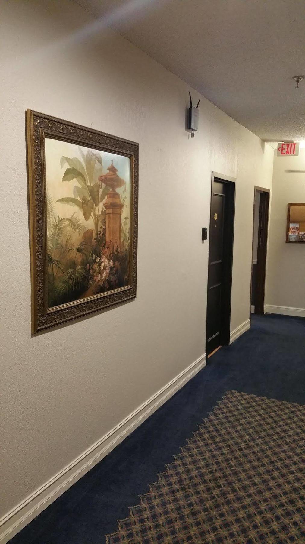 Hyde Park Hotel Tampa Dış mekan fotoğraf
